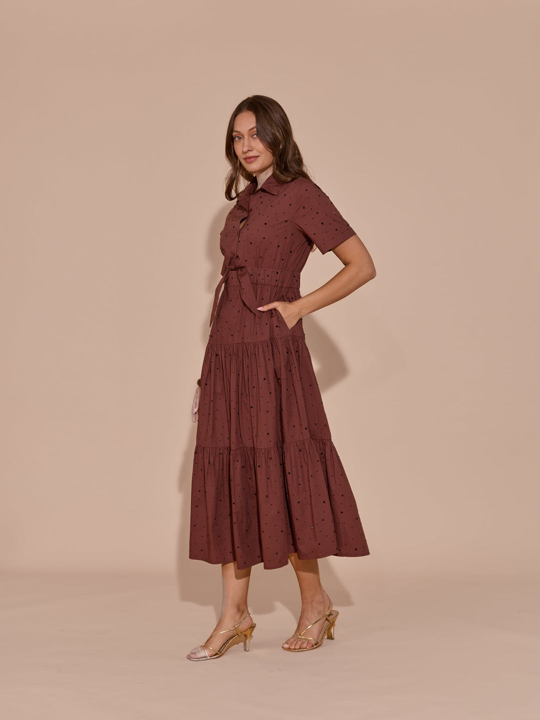 Elena Embellished Dress