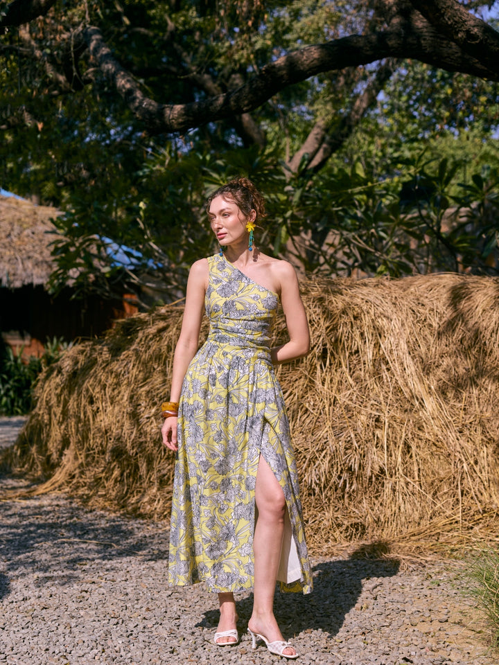 Kim Printed Dress