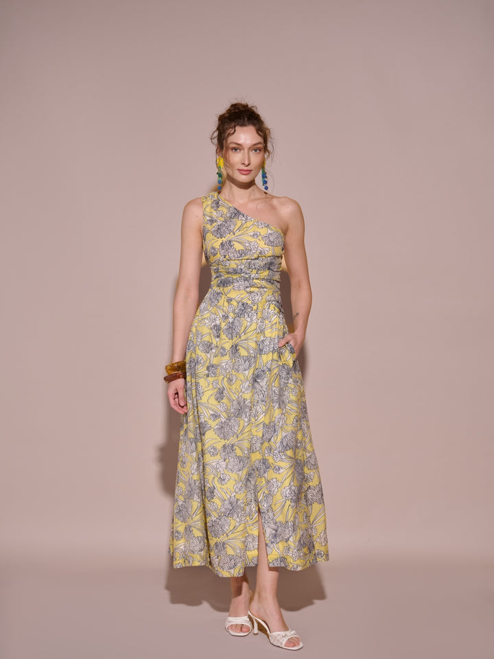 Kim Printed Dress