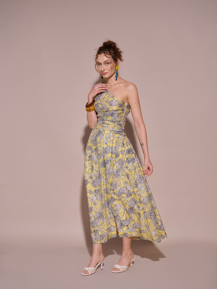 Kim Printed Dress