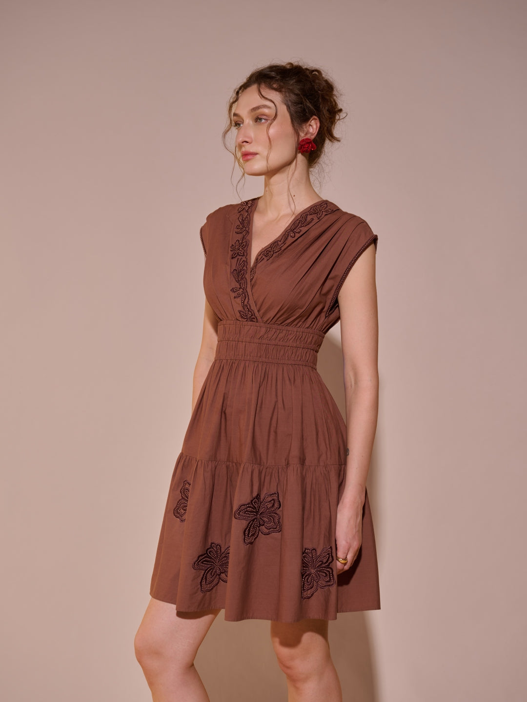 Stephanie Embroidered Dress