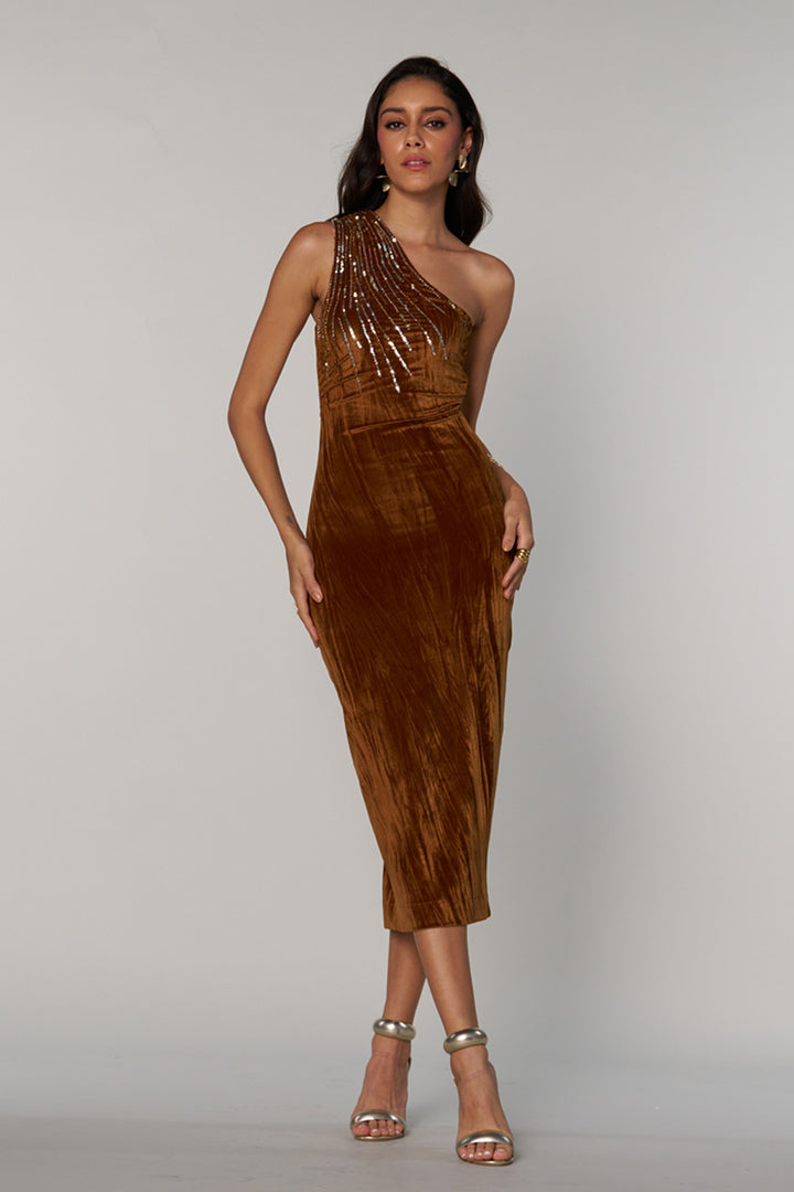 Lisa Velvet Dress