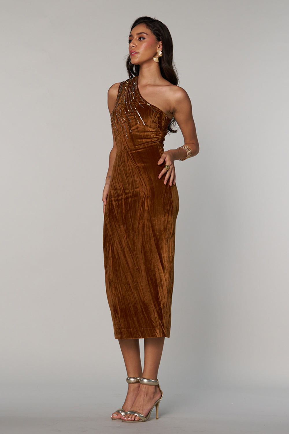 Lisa Velvet Dress