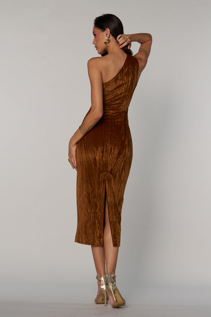 Lisa Velvet Dress