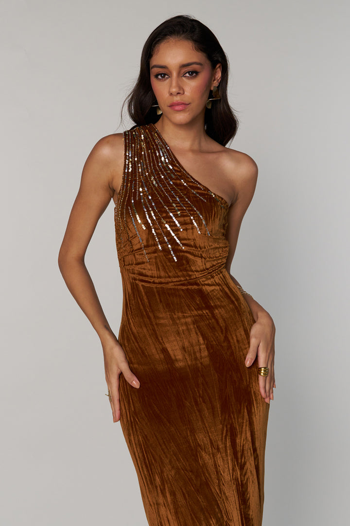 Lisa Velvet Dress